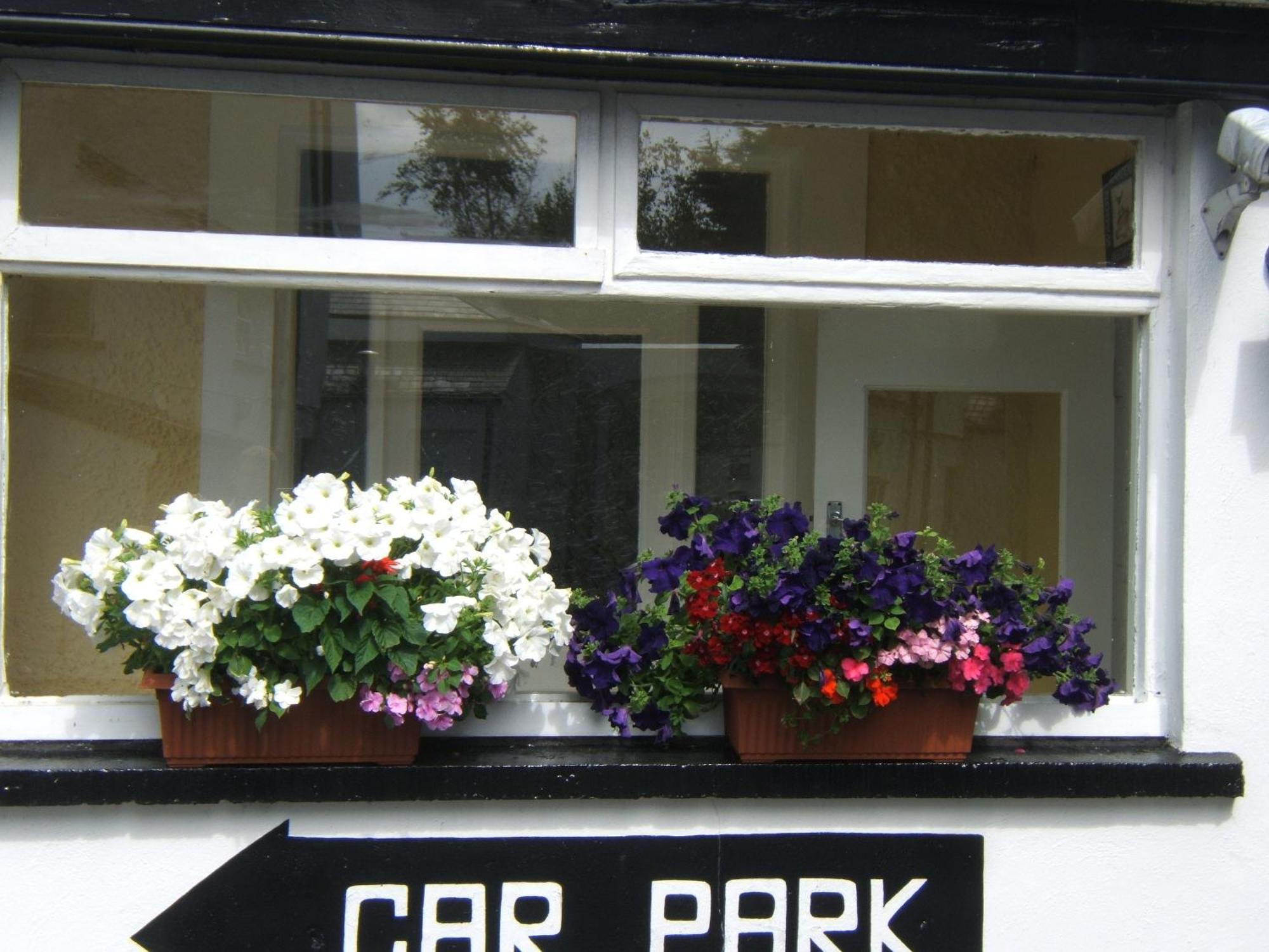 Faythe Guesthouse Wexford Extérieur photo